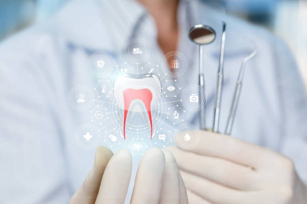 Best General Dentistry  in Fergus Falls, MN